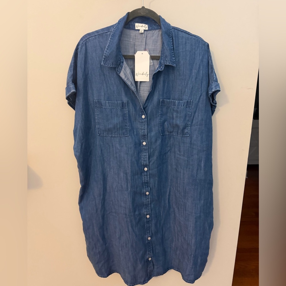 Wonderly Blue Denim Mini Dress XXL
